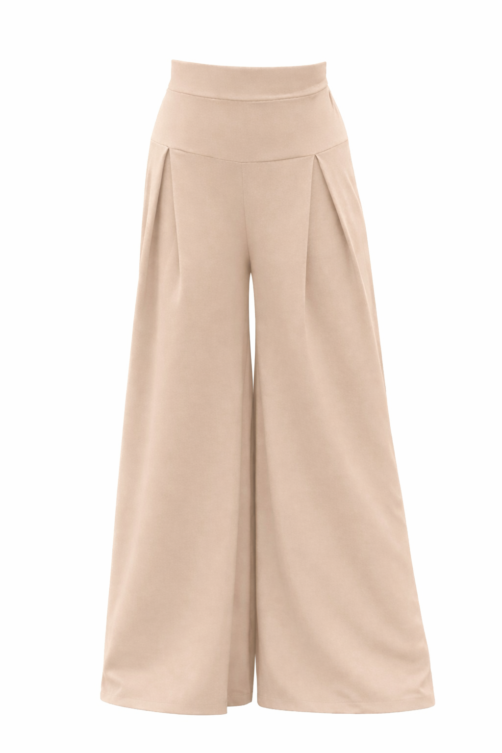 Black Skirt Pants with Two Pleats